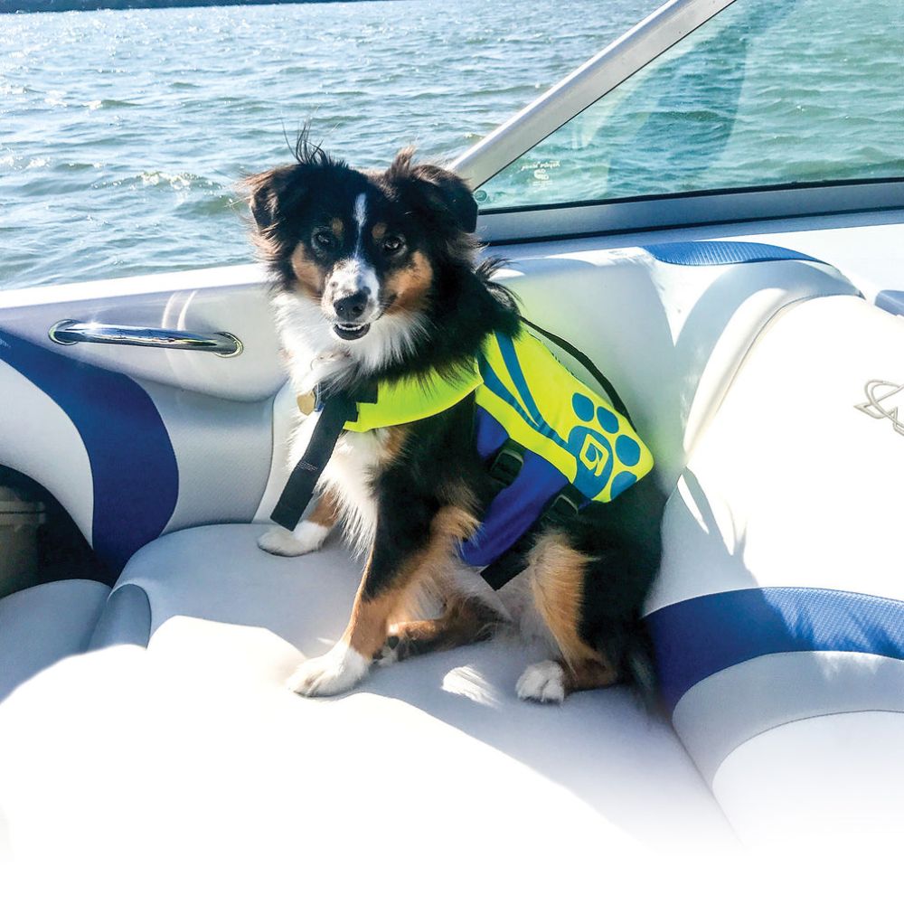 O'Brien Pet Life Vest Pet Life Jacket