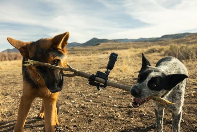 GoPro Flexible Grip Mount (Featuring Gear Ties) for All GoPro Cameras