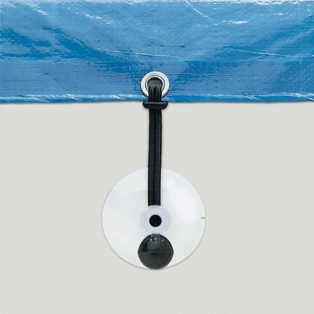Suction Cup Tie Downs Tie Downs