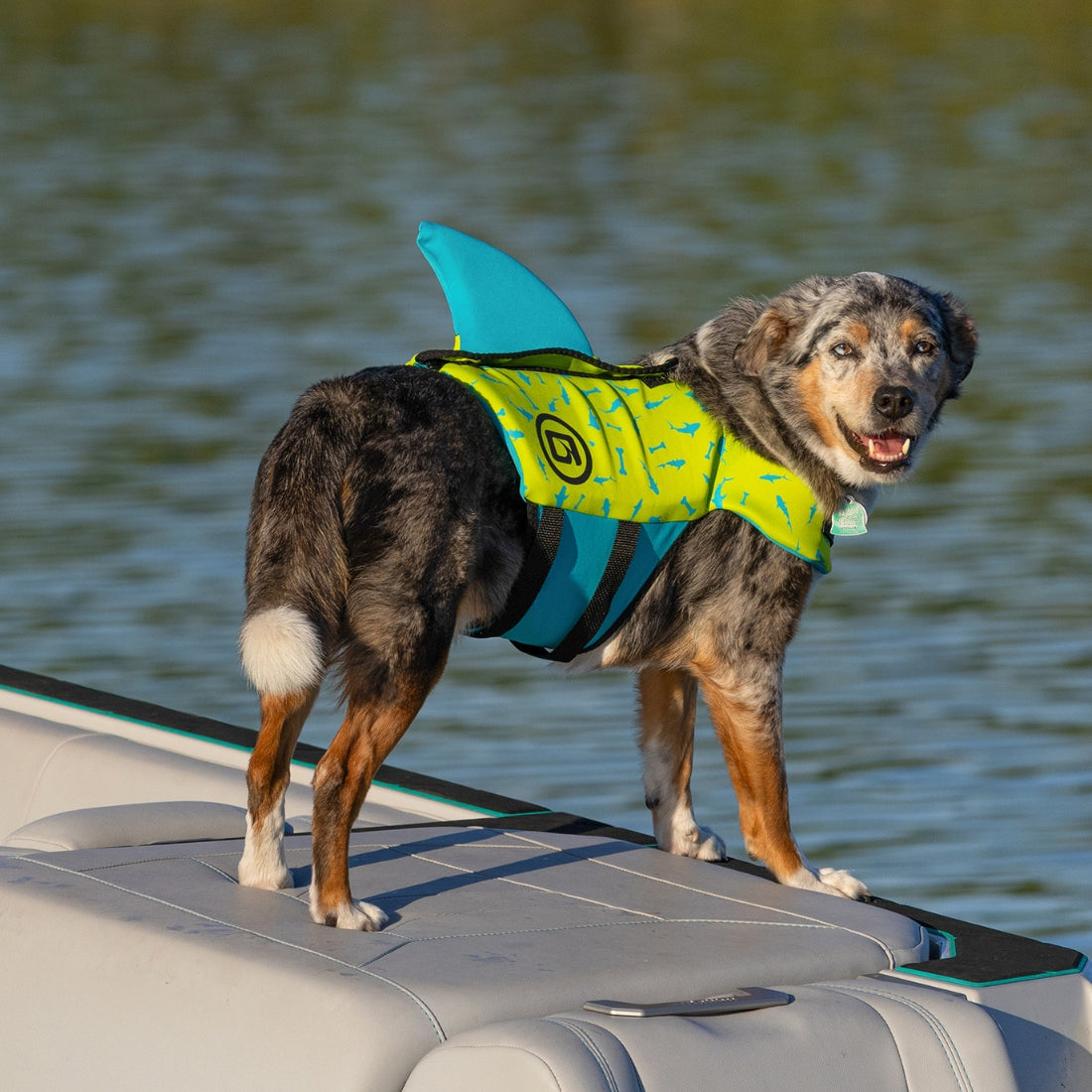 O'Brien Pet Life Vest with Fin Pet Life Jacket